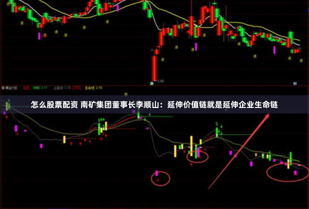 怎么股票配资 南矿集团董事长李顺山：延伸价值链就是延伸企业生命链