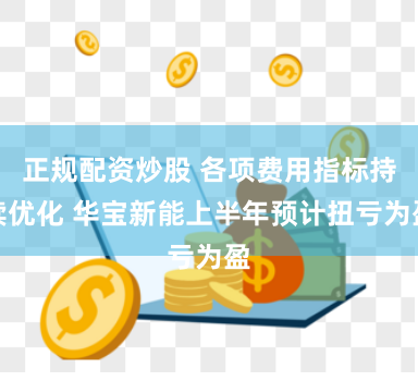 正规配资炒股 各项费用指标持续优化 华宝新能上半年预计扭亏为盈