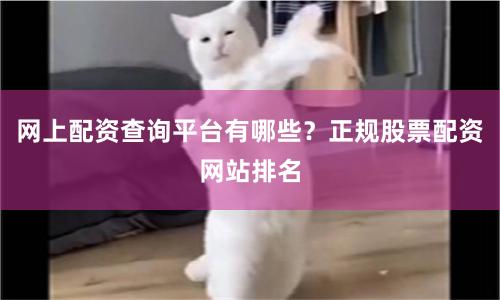 网上配资查询平台有哪些？正规股票配资网站排名
